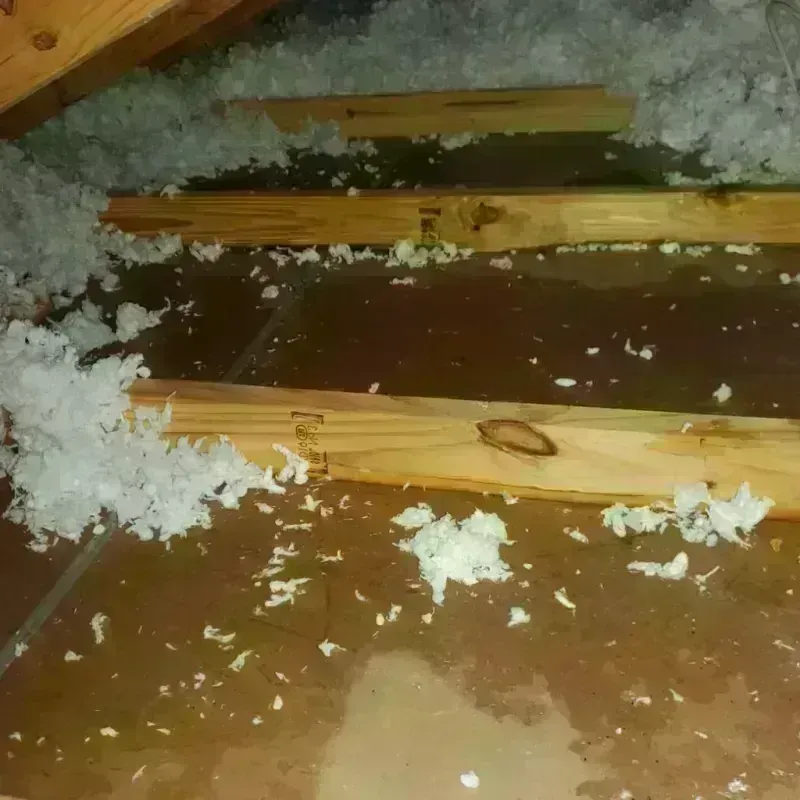 Attic Water Damage in Pawhuska, OK